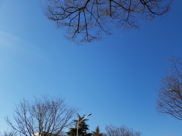 8일 인천 남동구 구월동 문화의거리에서 올려다 본 파란 하늘. 사진=박진형 기자